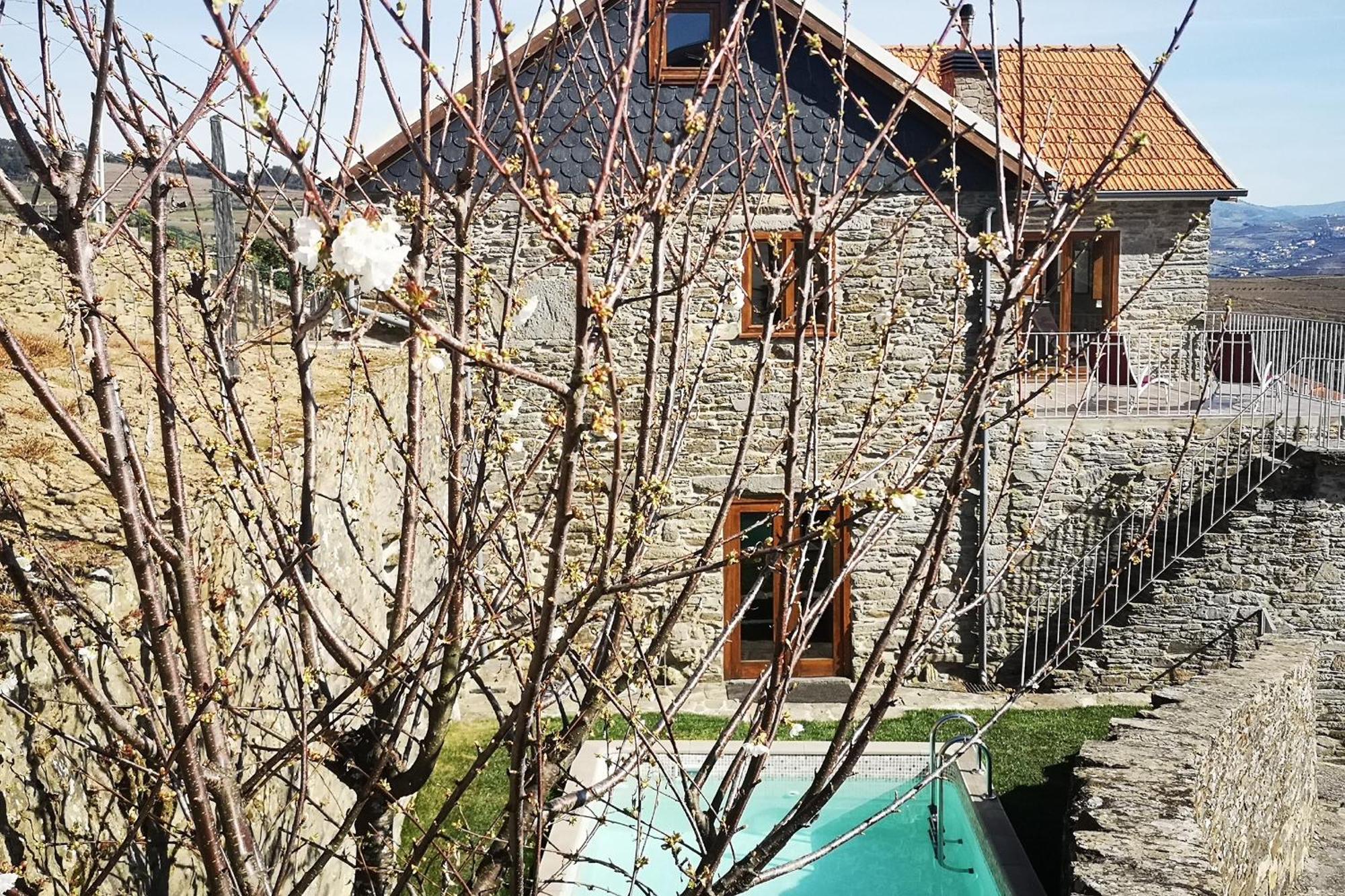 Sobreiro'S Villa In Douro Valley Mesao Frio Bagian luar foto